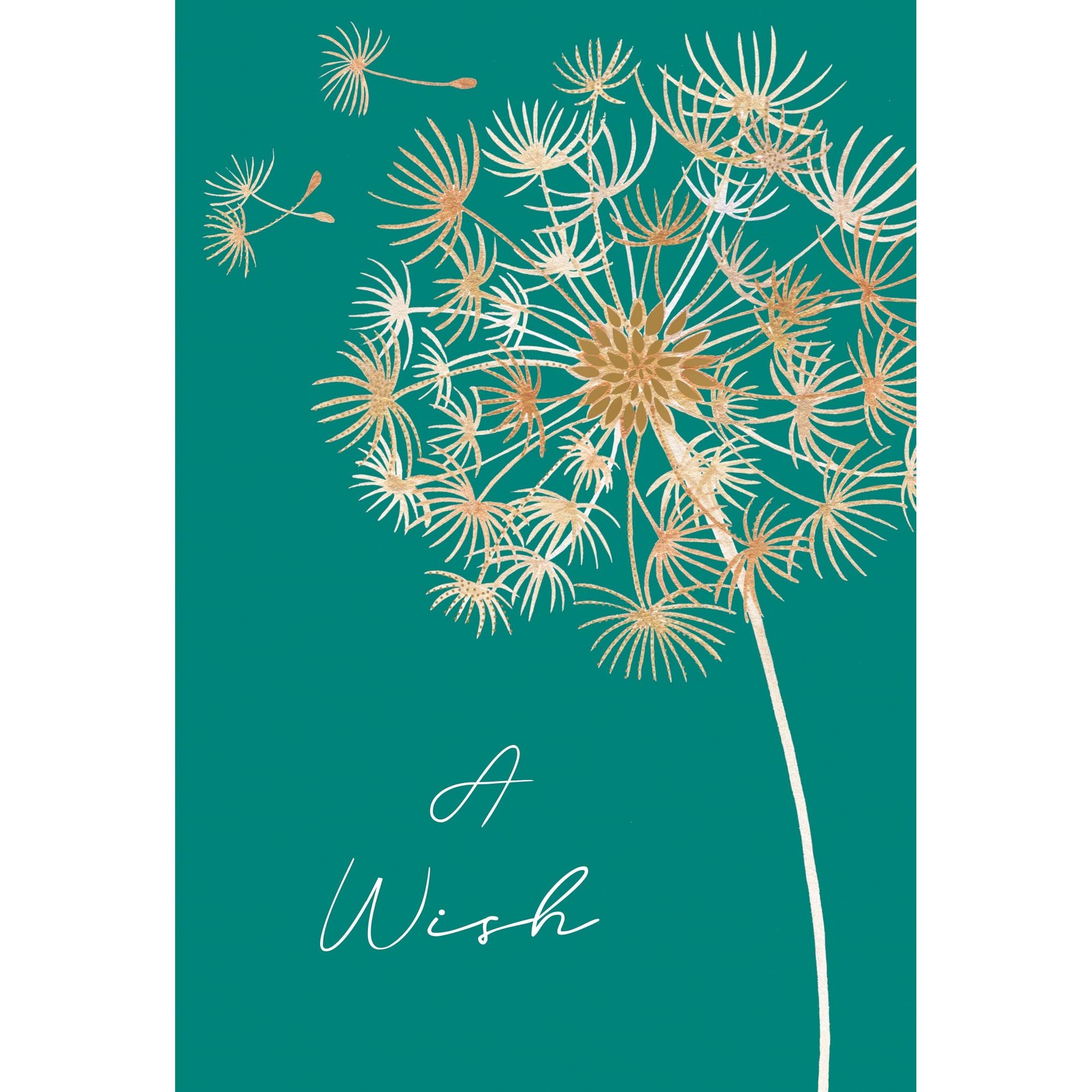 Get Well Card Dandelion - Cardmore